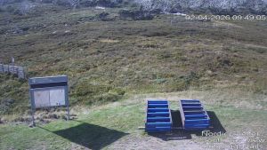 Web Cam 02:04:2026 9:50:05 am