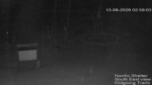 Web Cam 13:08:2026 3:00:05 am