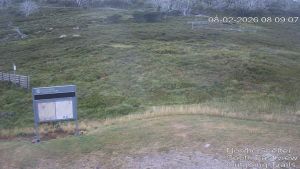 Web Cam 08:02:2026 8:10:04 am