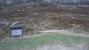 Web Cam 03:11:2025 12:50:04 pm