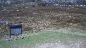 Web Cam 18:11:2025 12:30:04 pm