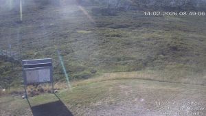 Web Cam 14:02:2026 8:50:03 am