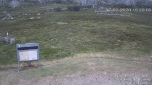 Web Cam 07:02:2026 3:30:03 pm