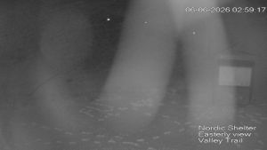 Web Cam 06:06:2026 3:00:08 am