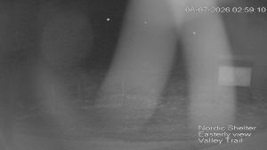 Web Cam 08:07:2026 3:00:08 am