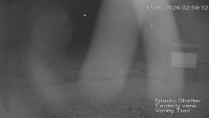 Web Cam 17:06:2026 3:00:08 am