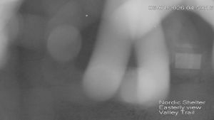 Web Cam 06:04:2026 5:00:06 am