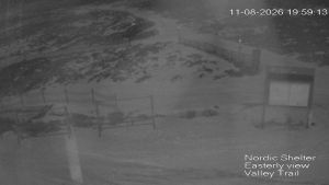 Web Cam 11:08:2026 8:00:07 pm