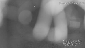 Web Cam 07:04:2026 5:00:06 am