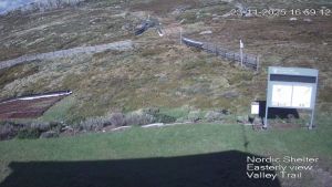 Web Cam 23:11:2025 5:00:07 pm