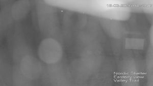 Web Cam 16:03:2026 5:00:06 am