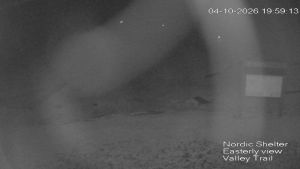 Web Cam 04:10:2026 8:00:05 pm