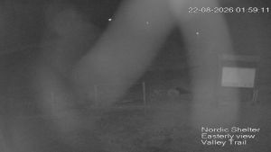 Web Cam 22:08:2026 2:00:07 am