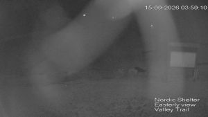 Web Cam 15:09:2026 4:00:07 am