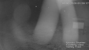 Web Cam 10:06:2026 2:00:09 am