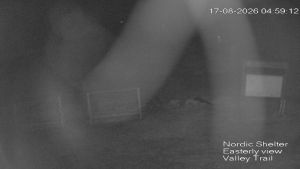 Web Cam 17:08:2026 5:00:07 am