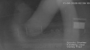 Web Cam 15:08:2026 3:00:07 am