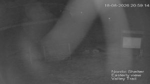Web Cam 18:08:2026 9:00:08 pm