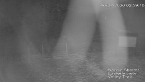 Web Cam 06:07:2026 3:00:08 am
