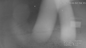 Web Cam 16:06:2026 3:00:07 am